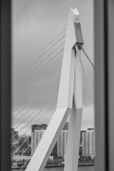 Erasmus NHOW van Karin van Bylevelt