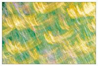 Abstract Field Flower