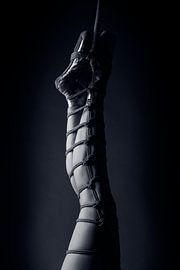 Ballett & Rope - Der Seil-Tanz von Catherine Mason