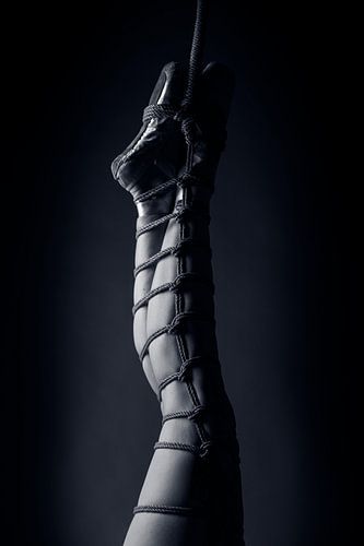 Ballet & Touw - De Touwtjesdans