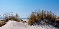 In de duinen bij de zee van Christoph Schaible thumbnail