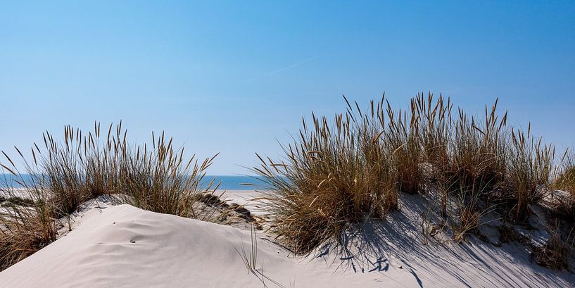 In de duinen bij de zee van Christoph Schaible