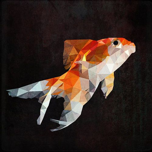 Low Poly Goudvis van Erik-Jan ten Brinke