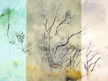 Kijken naar de bomen