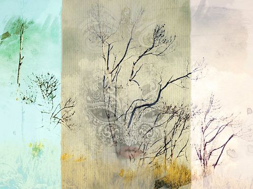 Kijken naar de bomen