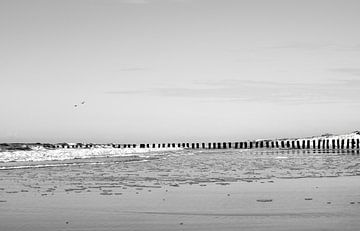 Strand von Berck von Schwarzes Pech Photography