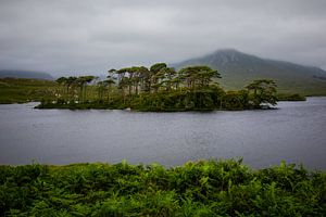 Irland