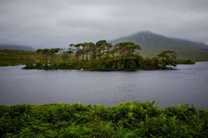 Ireland by Eric van Nieuwland