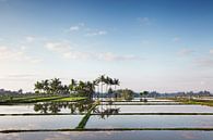 Bali Reisterrassen. Die schönen und dramatischen Reisfelder. Eine wirklich inspirierende Landschaft von Tjeerd Kruse Miniaturansicht