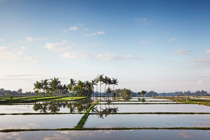 Bali Reisterrassen. Die schönen und dramatischen Reisfelder. Eine wirklich inspirierende Landschaft von Tjeerd Kruse
