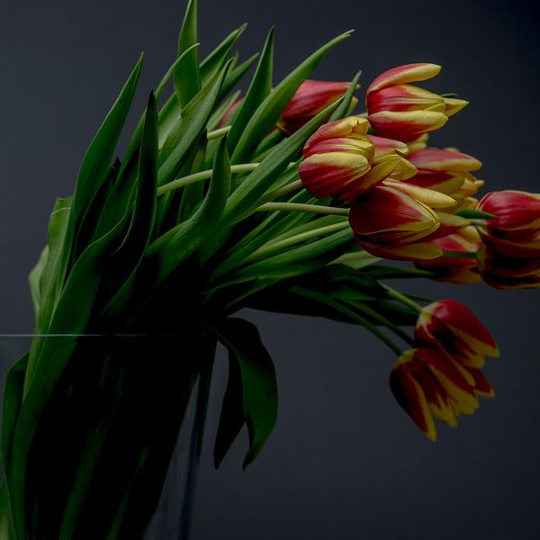 Tulpen van Christian Reijnoudt