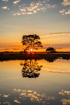 Prachtige zonsondergang op het Dwingelderveld van KB Design & Photography (Karen Brouwer)