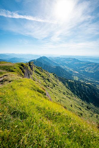 Bloemrijke uitzichten van de Hochgrat naar Oberstaufen