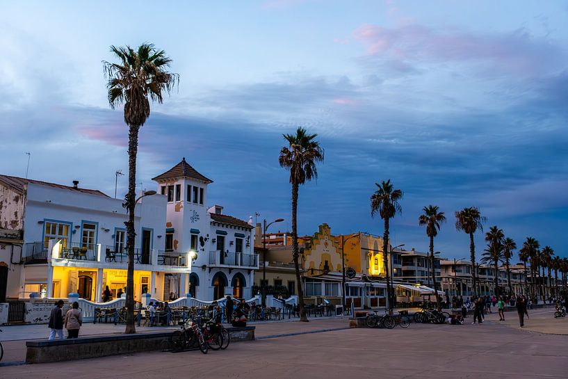 Landscape blue hour and palm trees on the beach promenade by Dieter Walther