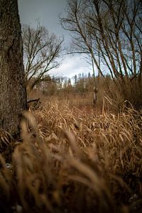 Herbstlandschaft