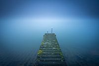 Mist steiger