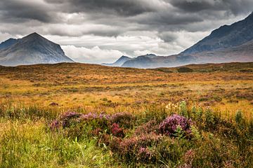 Landschaft Scotland