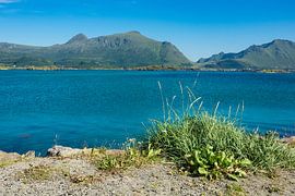 Küste auf den Lofoten in Norwegen