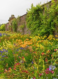 Jardin anglais avec des fleurs colorées