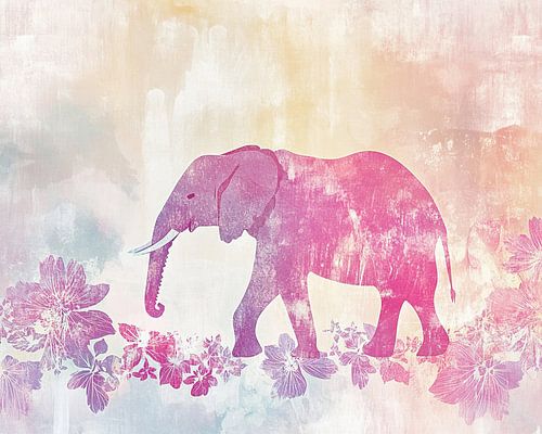 Fleurs d'éléphant | Éléphant