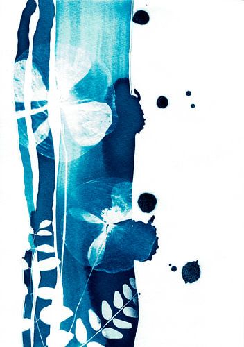 Wit blauwe klaprozen