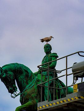 Beeld met  Meeuw en Hoogwerker van Truckpowerr