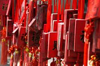 Chinese wensen