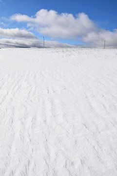 Een besneeuwd veld na de storm van Claude Laprise