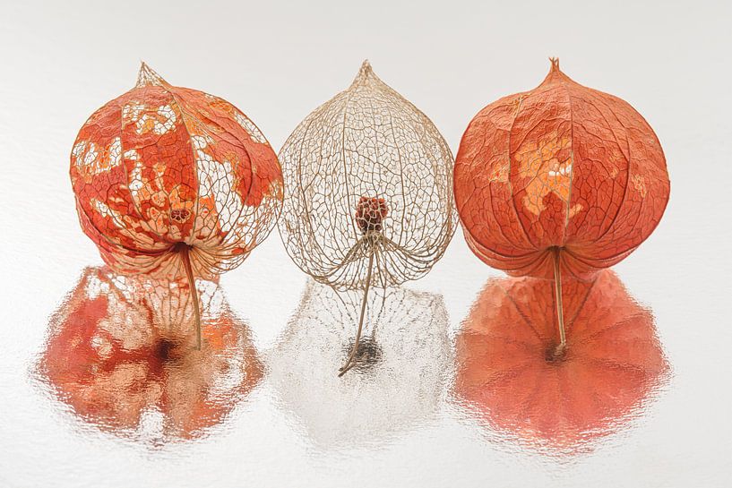 Impermanence: Panorama of three lanterns together by Marjolijn van den Berg