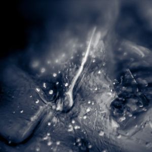 Frozen XII
