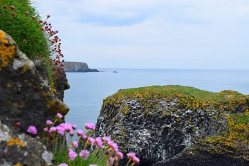 Uitzicht op de zee aan ruige kust van Noord-Ierland van Studio LE-gals