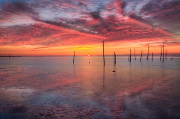 Kust Rockanje in de schemer / zonsondergang