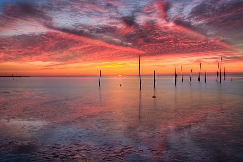 Kust Rockanje in de schemer / zonsondergang