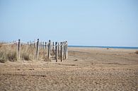 strand von marijke servaes Miniaturansicht