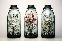 Botanical Brews