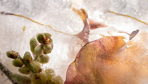 Verstilde botanica in groen, goud en oud-roze