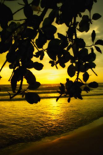 Golden hour
