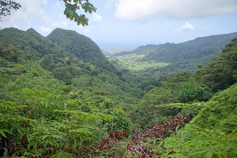Grenada - kustlandschap bij de hoofdstad St. George's van t.ART