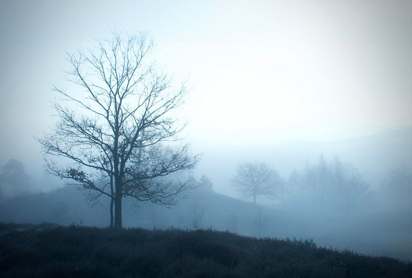 In the fog by Netty Kempkes