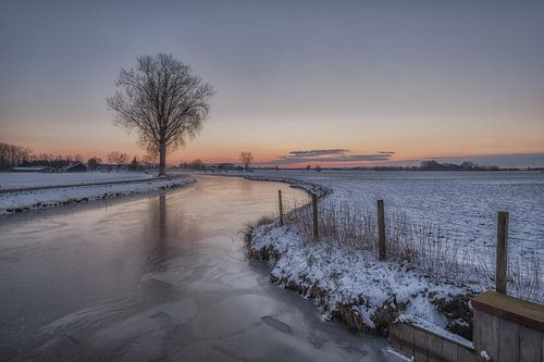 Bevroren