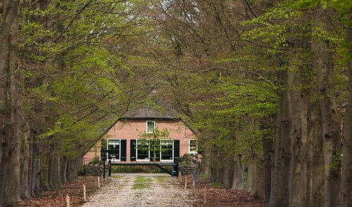 Sfeervolle boerderij bij Landgoed de Laan in Overberg
