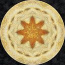 Dog Fur Kaleidoscope 1 by Dorothy Berry-Lound thumbnail