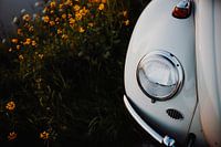 VW Beetle 1964