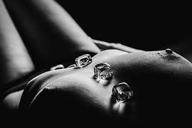 Sensuele Rondingen en IJzige Contrasten van Retinas images