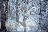 Abstracte fotografie | Minimalisme | Modern abstract | Betoverend winterlandschap