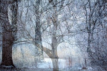 Winterlandschap van Art by Janine