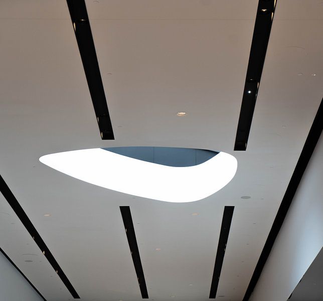 Plafond van Rob Hendriks