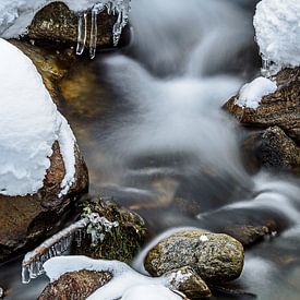 Courir le ruisseau dans la neige sur Wouter van Woensel