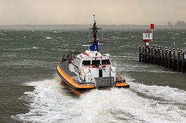 Pilot boat on the Westerschelde near Vlissingen by MSP Canvas