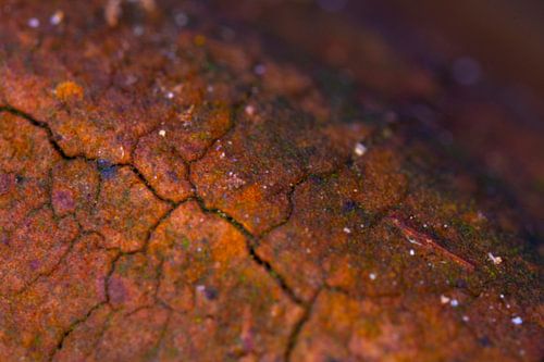 Gekraakte en gebarsten lijnen een uniek abstract geheel